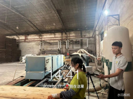 1740982816106994.jpg 1740982813543.jpg